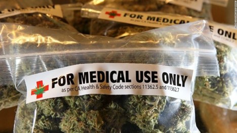 medical marijuana, SACS Consulting, drug policies in workforce