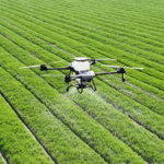 drone fertilizing crops